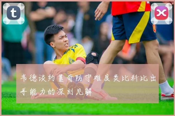 韦德谈约基奇防守难度类比科比出手能力的深刻见解