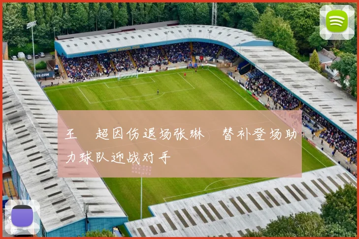 王燊超因伤退场张琳芃替补登场助力球队迎战对手