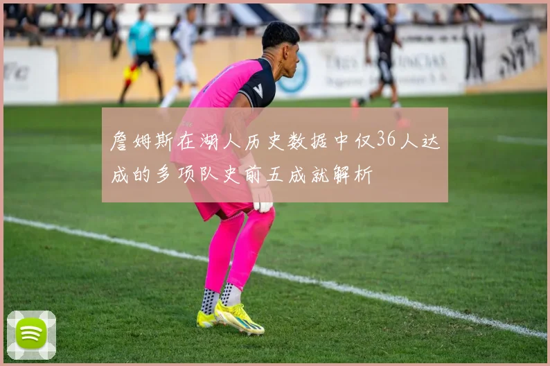 詹姆斯在湖人历史数据中仅36人达成的多项队史前五成就解析